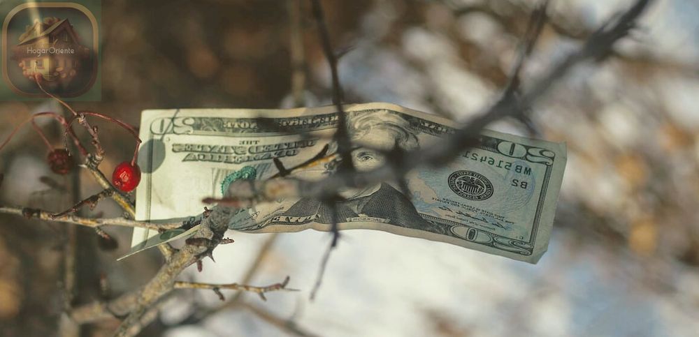 billete de 20 dólares en un árbol