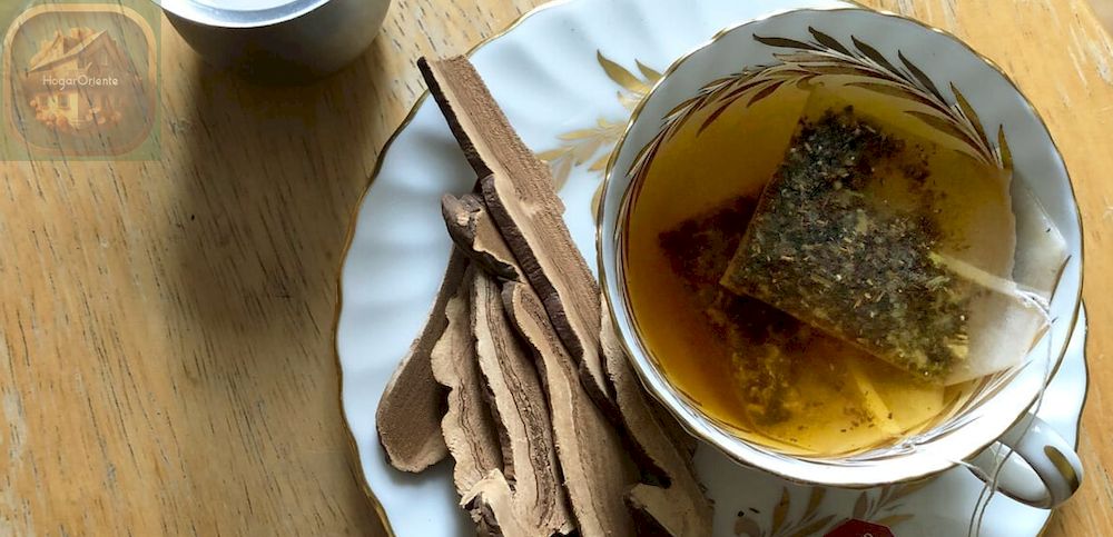 taza de té chai caliente y hongos reishi en un plato de té