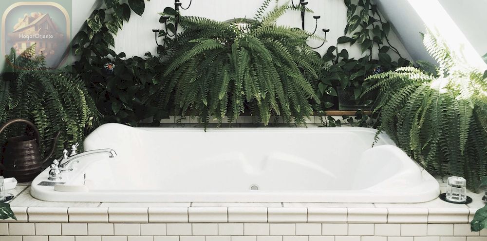 bañera, plantas