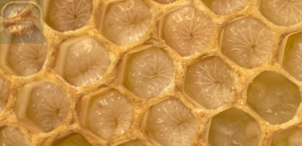hectágonos de miel