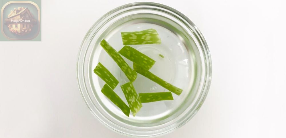 hojas de aloe vera empapadas en un recipiente de vidrio con agua