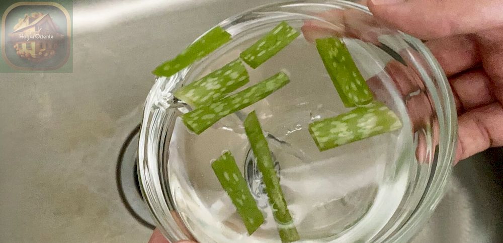 hojas de aloe vera en un tazón de vidrio con agua, vertiendo agua en el fregadero de la cocina, manos sosteniendo un tazón de vidrio