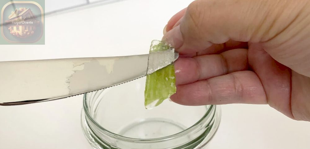 cuchillo cortando gel de aloe vera de la hoja de aloe vera, mano sosteniendo la hoja de aloe vera, tarro de vidrio