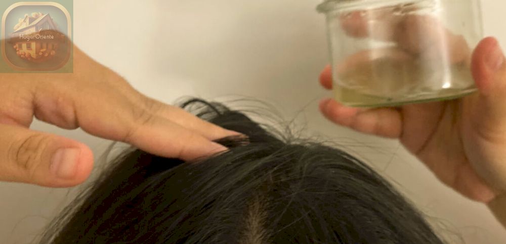 aplicación de mascarilla capilar de jugo de aloe vera en el cabello