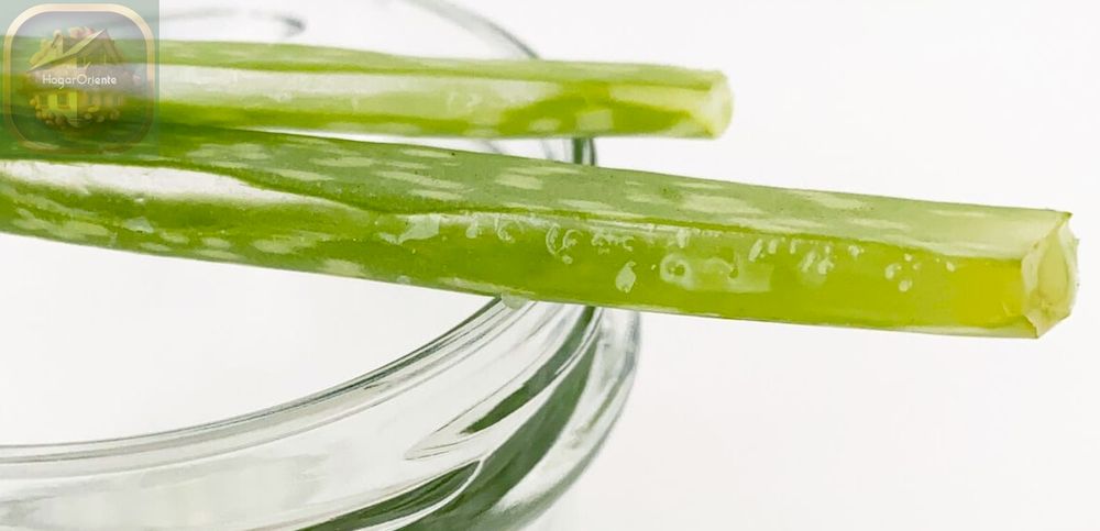 corte las hojas de aloe vera en la tapa del frasco de vidrio