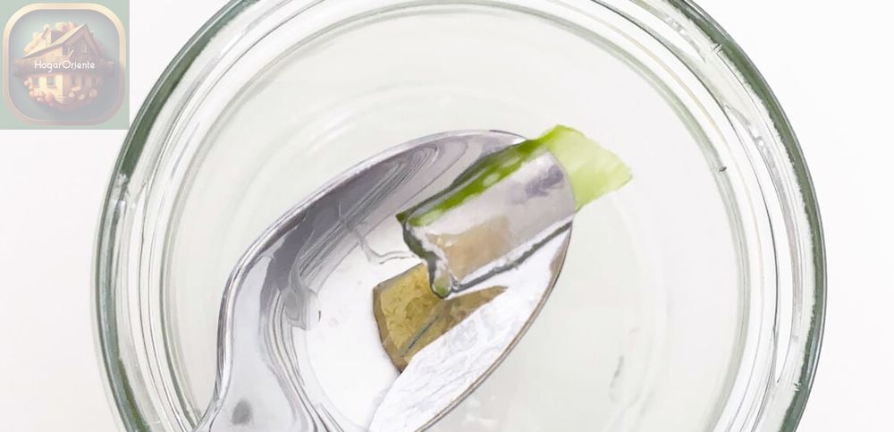Cuchara para sacar gel de aloe vera y hojas de un frasco de vidrio