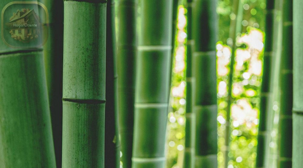 palos de bambú